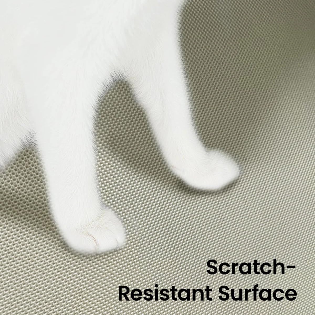 แผ่นรองกันน้ำสำหรับกระบะทรายแม - Cat Litter Mat บทวิจารณ์และราคา