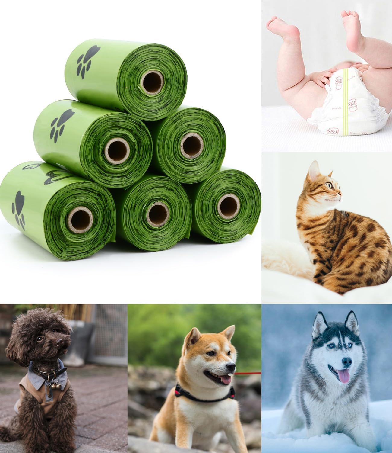ถุงขยะย่อยสลายได้สำหรับสัตว์เล - Poop Bag Dispenser บทวิจารณ์และราคา