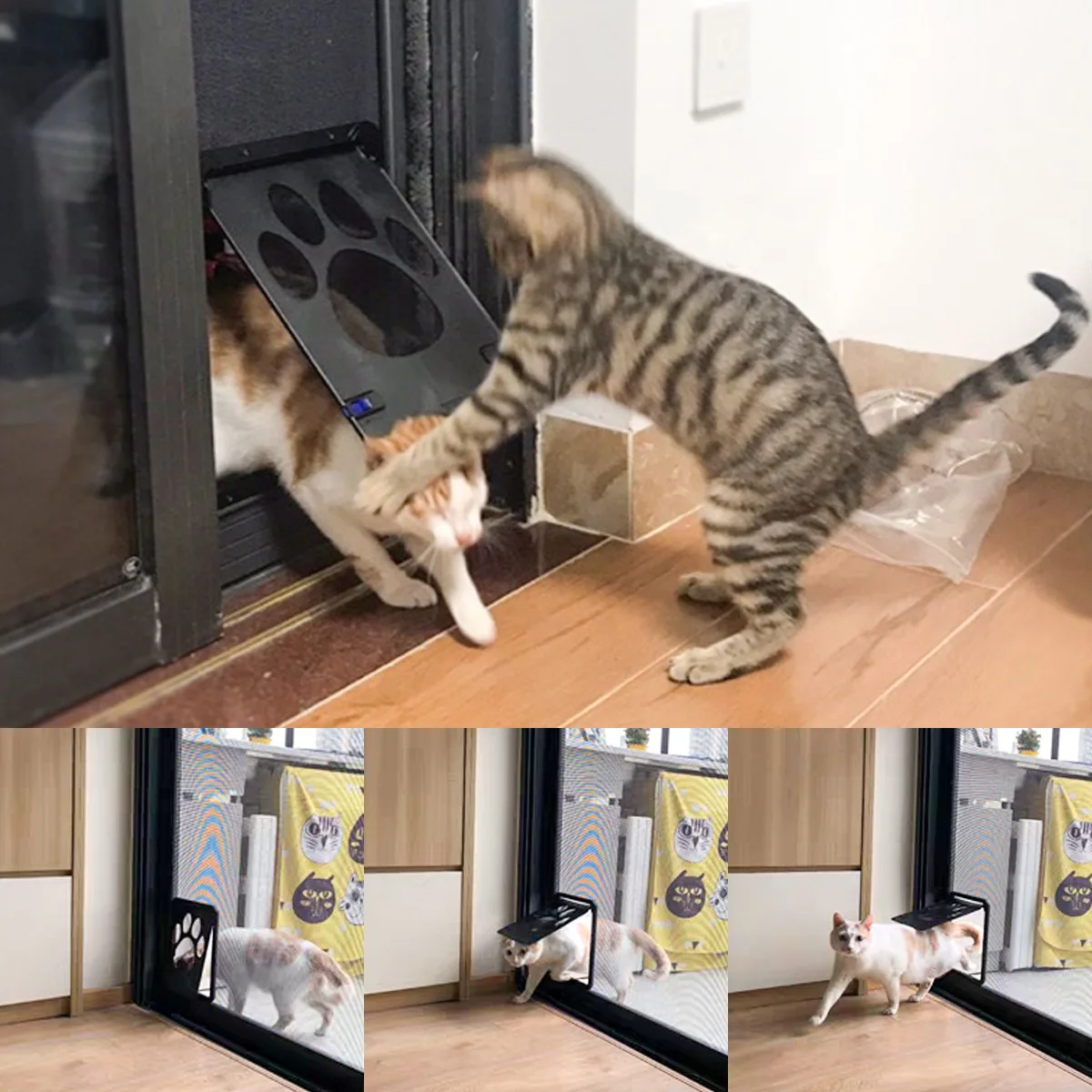 ประตูแมวใหม่ปลอดภัยล็อคแม่เหล็ - Pet Supplies Online บทวิจารณ์และราคา